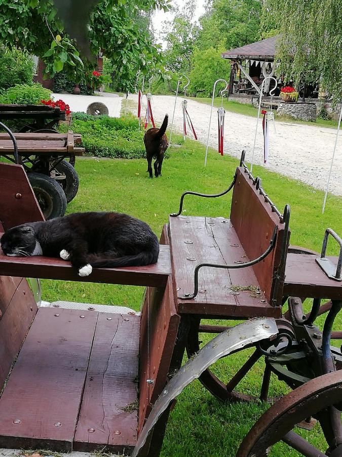 Отель Kucuru Dzirnavas Lautere Экстерьер фото